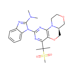 CN(C)c1nc2ccccc2n1-c1nc2c(c(C(C)(C)S(C)(=O)=O)n1)OC[C@@H]1COCCN21 ZINC000221360372