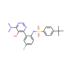 CN(C)c1ncnc(-c2cc(Cl)ccc2NS(=O)(=O)c2ccc(C(C)(C)C)cc2)c1O ZINC000474609821