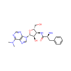 CN(C)c1ncnc2c1ncn2[C@@H]1O[C@H](CO)[C@@H](NC(=O)[C@@H](N)Cc2ccccc2)[C@H]1O ZINC000198701689