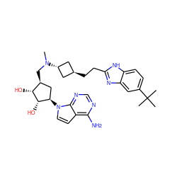 CN(C[C@H]1C[C@@H](n2ccc3c(N)ncnc32)[C@H](O)[C@@H]1O)[C@H]1C[C@H](CCc2nc3cc(C(C)(C)C)ccc3[nH]2)C1 ZINC000168011047