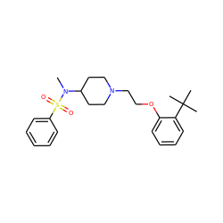 CN(C1CCN(CCOc2ccccc2C(C)(C)C)CC1)S(=O)(=O)c1ccccc1 ZINC000653799598