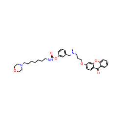 CN(CCCOc1ccc2c(=O)c3ccccc3oc2c1)Cc1cccc(OC(=O)NCCCCCCCN2CCOCC2)c1 ZINC000014947415