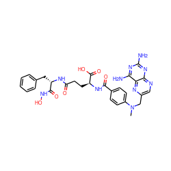 CN(Cc1cnc2nc(N)nc(N)c2n1)c1ccc(C(=O)N[C@@H](CCC(=O)N[C@@H](Cc2ccccc2)C(=O)NO)C(=O)O)cc1 ZINC000028713647