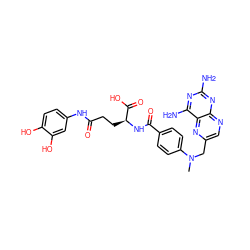 CN(Cc1cnc2nc(N)nc(N)c2n1)c1ccc(C(=O)N[C@@H](CCC(=O)Nc2ccc(O)c(O)c2)C(=O)O)cc1 ZINC000029412538