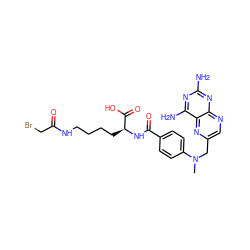 CN(Cc1cnc2nc(N)nc(N)c2n1)c1ccc(C(=O)N[C@@H](CCCCNC(=O)CBr)C(=O)O)cc1 ZINC000029249222