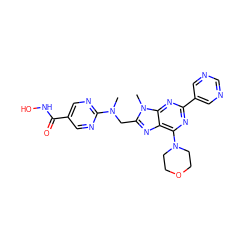 CN(Cc1nc2c(N3CCOCC3)nc(-c3cncnc3)nc2n1C)c1ncc(C(=O)NO)cn1 ZINC000653835482