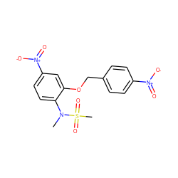 CN(c1ccc([N+](=O)[O-])cc1OCc1ccc([N+](=O)[O-])cc1)S(C)(=O)=O ZINC000035324316