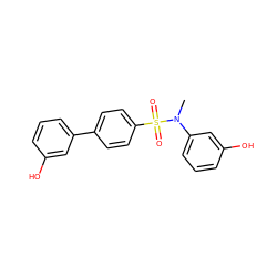 CN(c1cccc(O)c1)S(=O)(=O)c1ccc(-c2cccc(O)c2)cc1 ZINC000096285193