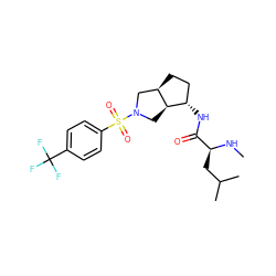 CN[C@@H](CC(C)C)C(=O)N[C@H]1CC[C@@H]2CN(S(=O)(=O)c3ccc(C(F)(F)F)cc3)C[C@@H]21 ZINC000096921266