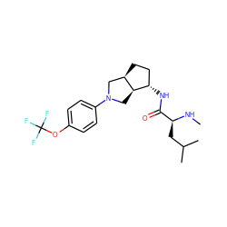 CN[C@@H](CC(C)C)C(=O)N[C@H]1CC[C@@H]2CN(c3ccc(OC(F)(F)F)cc3)C[C@@H]21 ZINC000096921258