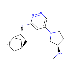 CN[C@@H]1CCN(c2cnnc(N[C@@H]3C[C@H]4CC[C@H]3C4)c2)C1 ZINC000299854580