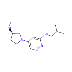 CN[C@@H]1CCN(c2cnnc(NCC(C)C)c2)C1 ZINC000116600496