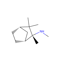 CN[C@]1(C)[C@@H]2CC[C@@H](C2)C1(C)C ZINC000038140873