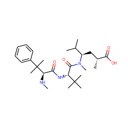 CN[C@H](C(=O)N[C@H](C(=O)N(C)[C@H](C[C@@H](C)C(=O)O)C(C)C)C(C)(C)C)C(C)(C)c1ccccc1 ZINC000013583077