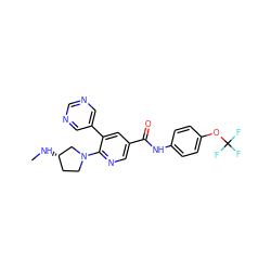 CN[C@H]1CCN(c2ncc(C(=O)Nc3ccc(OC(F)(F)F)cc3)cc2-c2cncnc2)C1 ZINC000224416192