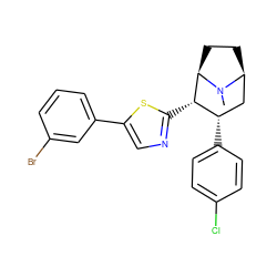 CN1[C@H]2CC[C@@H]1[C@@H](c1ncc(-c3cccc(Br)c3)s1)[C@@H](c1ccc(Cl)cc1)C2 ZINC000014978593