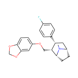 CN1[C@H]2CC[C@@H]1[C@H](COc1ccc3c(c1)OCO3)[C@H](c1ccc(F)cc1)C2 ZINC000026577124