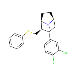 CN1[C@H]2CC[C@@H]1[C@H](CSc1ccccc1)[C@@H](c1ccc(Cl)c(Cl)c1)C2 ZINC000080520460