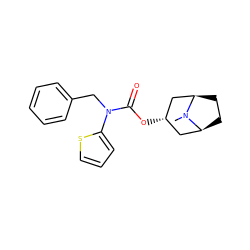 CN1[C@H]2CC[C@@H]1C[C@@H](OC(=O)N(Cc1ccccc1)c1cccs1)C2 ZINC000101152200