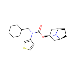 CN1[C@H]2CC[C@@H]1C[C@H](OC(=O)N(CC1CCCCC1)c1ccsc1)C2 ZINC000101151940