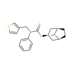 CN1[C@H]2CC[C@@H]1C[C@H](OC(=O)N(Cc1ccsc1)c1ccccc1)C2 ZINC000101151804