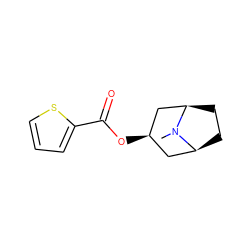 CN1[C@H]2CC[C@@H]1C[C@H](OC(=O)c1cccs1)C2 ZINC000103235780