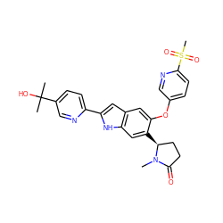 CN1C(=O)CC[C@@H]1c1cc2[nH]c(-c3ccc(C(C)(C)O)cn3)cc2cc1Oc1ccc(S(C)(=O)=O)nc1 ZINC001772588623