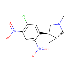 CN1C[C@@H]2C[C@]2(c2cc(Cl)c([N+](=O)[O-])cc2[N+](=O)[O-])C1 ZINC000034894434