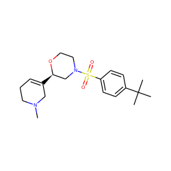 CN1CCC=C([C@@H]2CN(S(=O)(=O)c3ccc(C(C)(C)C)cc3)CCO2)C1 ZINC000040954965