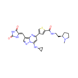 CN1CCC[C@@H]1CCNC(=O)c1cc(-c2cc(NC3CC3)n3ncc(/C=C4\NC(=O)NC4=O)c3n2)cs1 ZINC000205016705