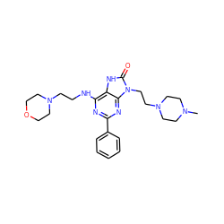 CN1CCN(CCn2c(=O)[nH]c3c(NCCN4CCOCC4)nc(-c4ccccc4)nc32)CC1 ZINC000208021015