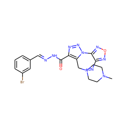 CN1CCN(Cc2c(C(=O)N/N=C/c3cccc(Br)c3)nnn2-c2nonc2N)CC1 ZINC000019371906