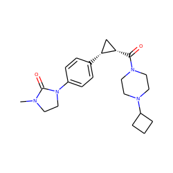 CN1CCN(c2ccc([C@@H]3C[C@@H]3C(=O)N3CCN(C4CCC4)CC3)cc2)C1=O ZINC000113838421