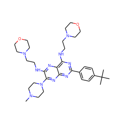 CN1CCN(c2nc3nc(-c4ccc(C(C)(C)C)cc4)nc(NCCN4CCOCC4)c3nc2NCCN2CCOCC2)CC1 ZINC000149584852