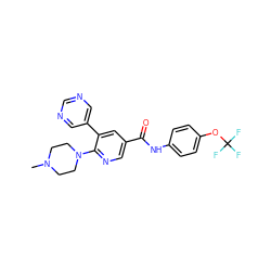 CN1CCN(c2ncc(C(=O)Nc3ccc(OC(F)(F)F)cc3)cc2-c2cncnc2)CC1 ZINC001772605950