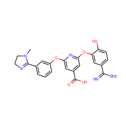 CN1CCN=C1c1cccc(Oc2cc(C(=O)O)cc(Oc3cc(C(=N)N)ccc3O)n2)c1 ZINC000001911692