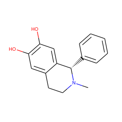 CN1CCc2cc(O)c(O)cc2[C@@H]1c1ccccc1 ZINC000013739901