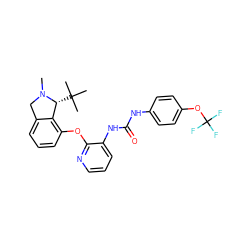 CN1Cc2cccc(Oc3ncccc3NC(=O)Nc3ccc(OC(F)(F)F)cc3)c2[C@H]1C(C)(C)C ZINC000103239109