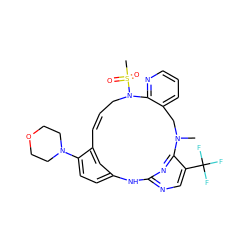 CN1Cc2cccnc2N(S(C)(=O)=O)C/C=C/c2cc(ccc2N2CCOCC2)Nc2ncc(C(F)(F)F)c1n2 ZINC001772606159