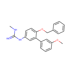 CNC(=N)Nc1ccc(OCc2ccccc2)c(-c2cccc(OC)c2)c1 ZINC000028010298