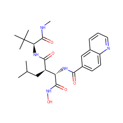 CNC(=O)[C@@H](NC(=O)[C@H](CC(C)C)[C@H](NC(=O)c1ccc2ncccc2c1)C(=O)NO)C(C)(C)C ZINC000013802377