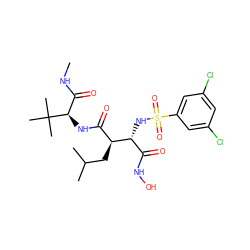 CNC(=O)[C@@H](NC(=O)[C@H](CC(C)C)[C@H](NS(=O)(=O)c1cc(Cl)cc(Cl)c1)C(=O)NO)C(C)(C)C ZINC000027551249