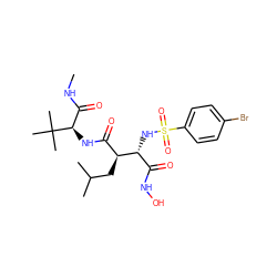 CNC(=O)[C@@H](NC(=O)[C@H](CC(C)C)[C@H](NS(=O)(=O)c1ccc(Br)cc1)C(=O)NO)C(C)(C)C ZINC000027550633