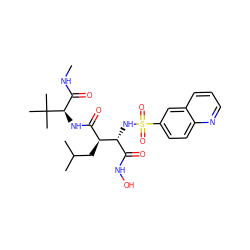 CNC(=O)[C@@H](NC(=O)[C@H](CC(C)C)[C@H](NS(=O)(=O)c1ccc2ncccc2c1)C(=O)NO)C(C)(C)C ZINC000013802367