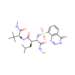 CNC(=O)[C@@H](NC(=O)[C@H](CC(C)C)[C@H](NS(=O)(=O)c1cccc2c(=O)[nH]cnc12)C(=O)NO)C(C)(C)C ZINC000027553845