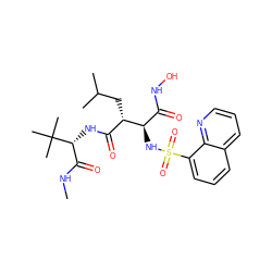 CNC(=O)[C@@H](NC(=O)[C@H](CC(C)C)[C@H](NS(=O)(=O)c1cccc2cccnc12)C(=O)NO)C(C)(C)C ZINC000013802362