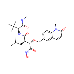 CNC(=O)[C@@H](NC(=O)[C@H](CC(C)C)[C@H](OCc1ccc2c(ccc(=O)n2C)c1)C(=O)NO)C(C)(C)C ZINC000003821615