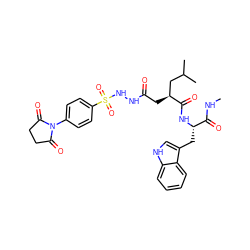 CNC(=O)[C@H](Cc1c[nH]c2ccccc12)NC(=O)[C@@H](CC(=O)NNS(=O)(=O)c1ccc(N2C(=O)CCC2=O)cc1)CC(C)C ZINC000049881873