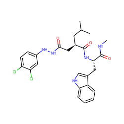 CNC(=O)[C@H](Cc1c[nH]c2ccccc12)NC(=O)[C@@H](CC(=O)NNc1ccc(Cl)c(Cl)c1)CC(C)C ZINC000044419198