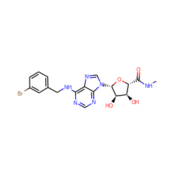 CNC(=O)[C@H]1O[C@@H](n2cnc3c(NCc4cccc(Br)c4)ncnc32)[C@H](O)[C@@H]1O ZINC000012405560